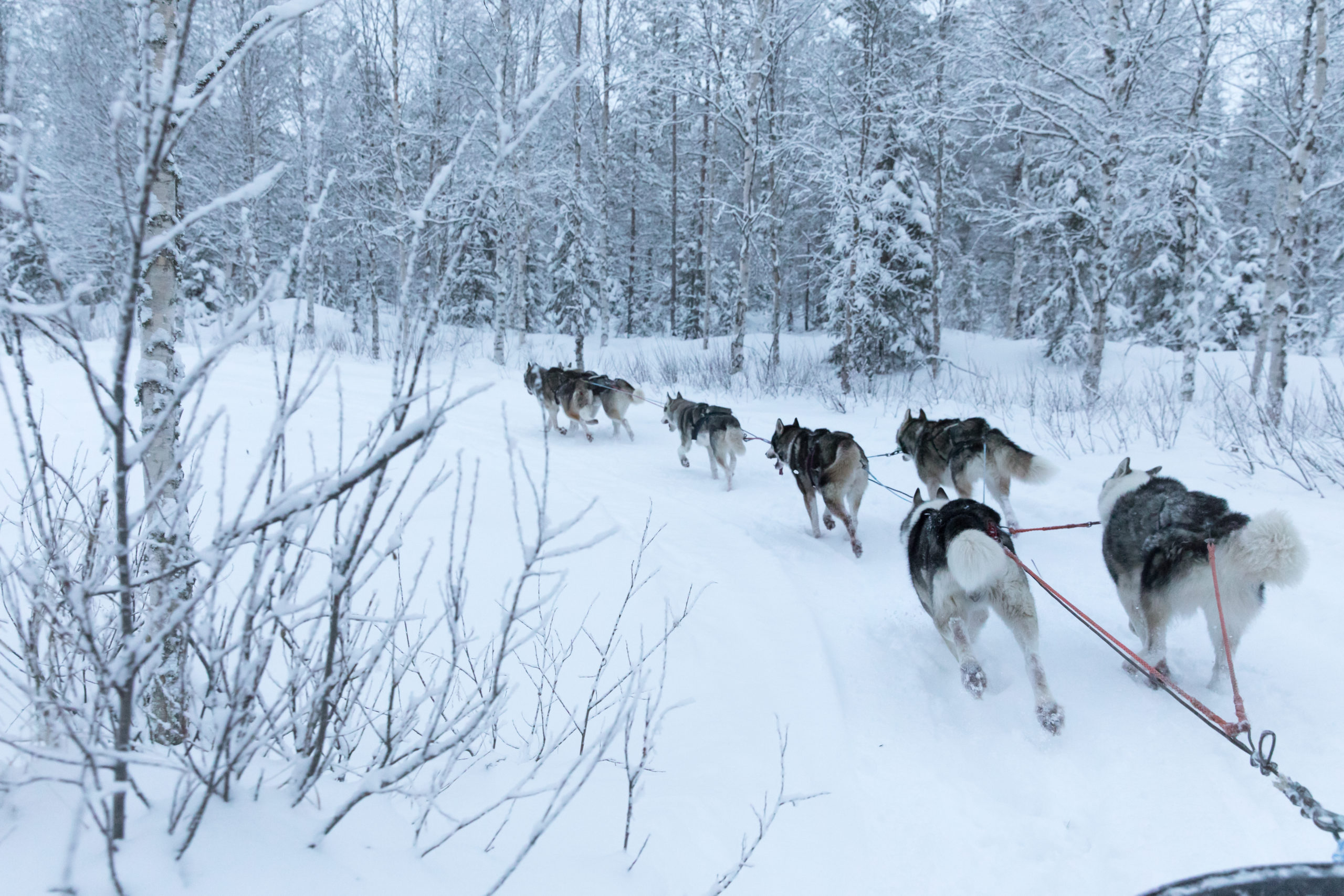 Skreddersydde turer