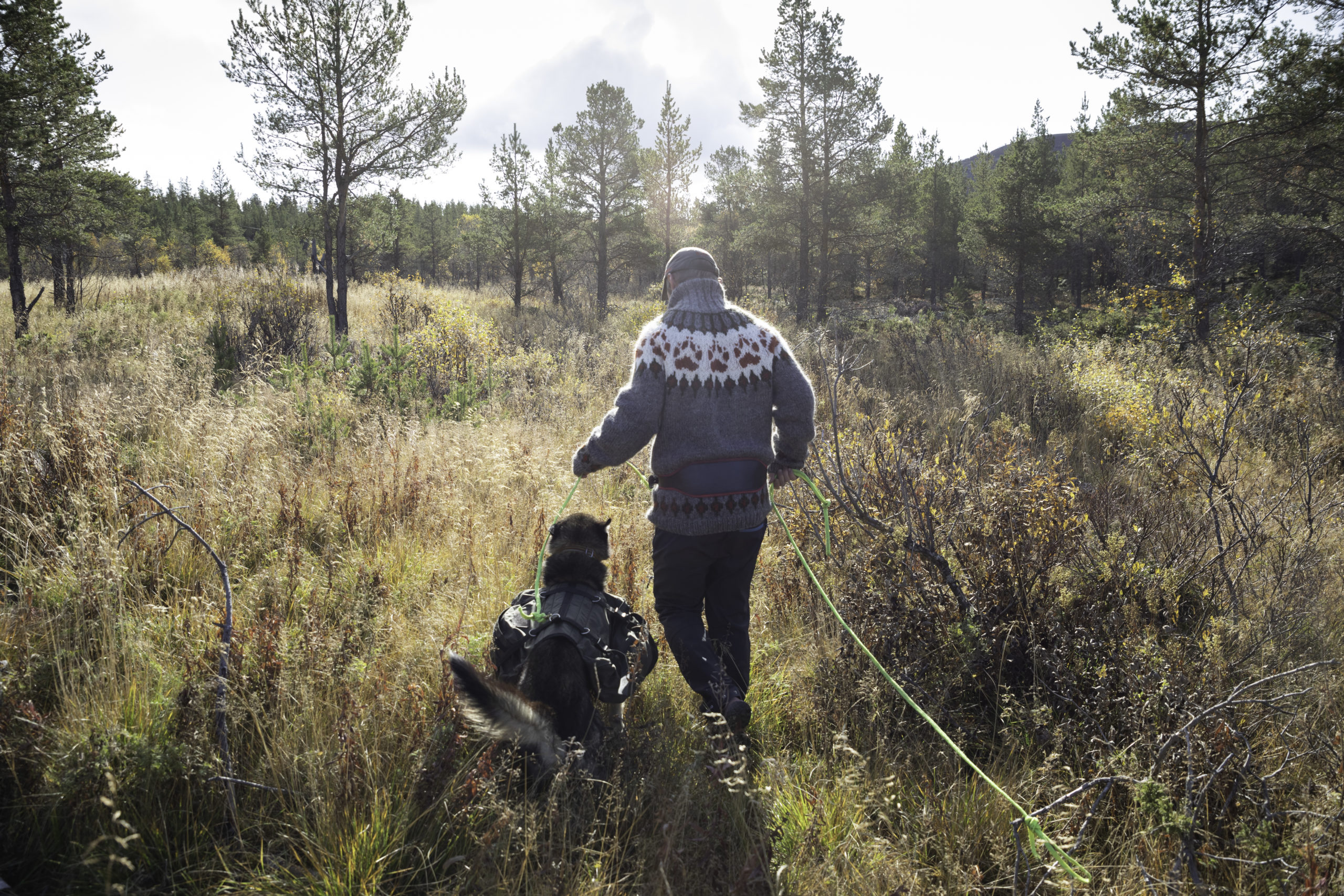 Høsttur i sola med husky