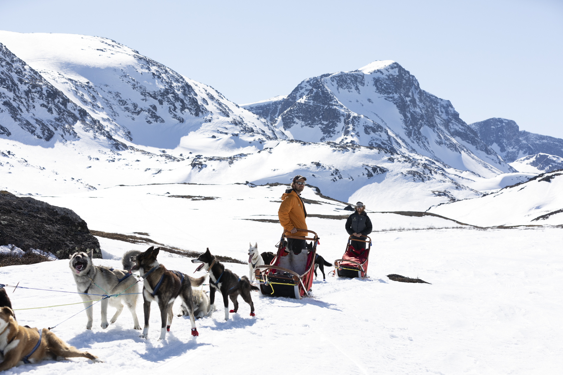 Jotunheimen Husky Lodge