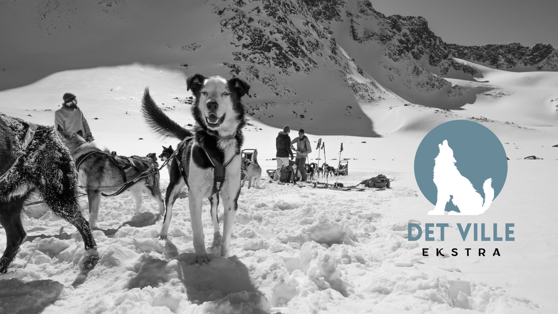 Det ville ekstra Friluftshuset (3)