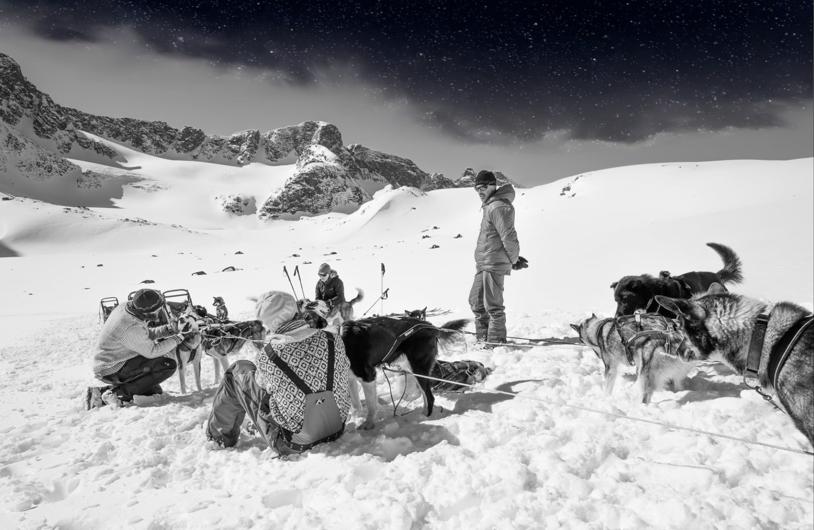 Det ville ekstra Markedsføring