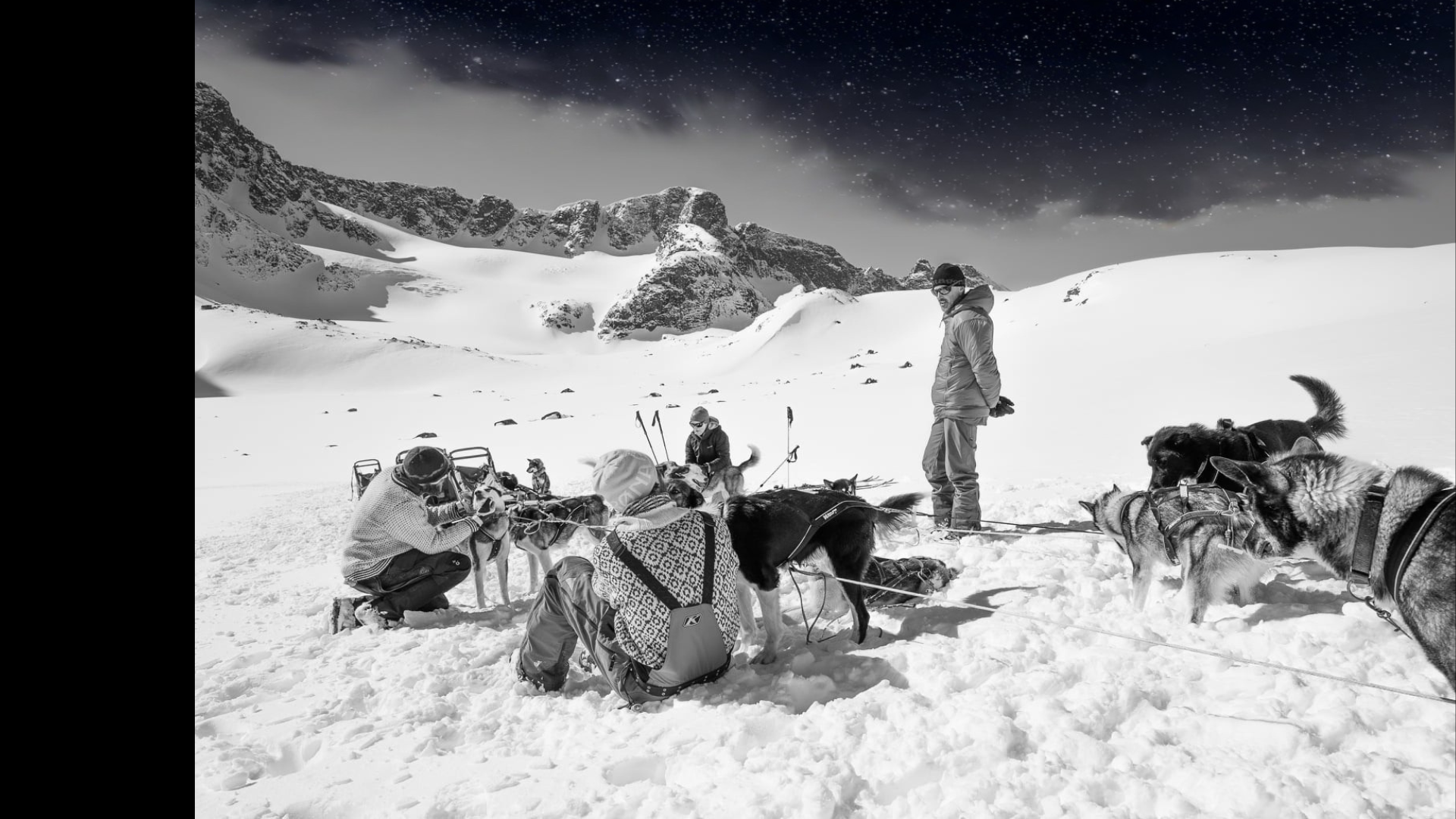Det ville ekstra Markedsføring